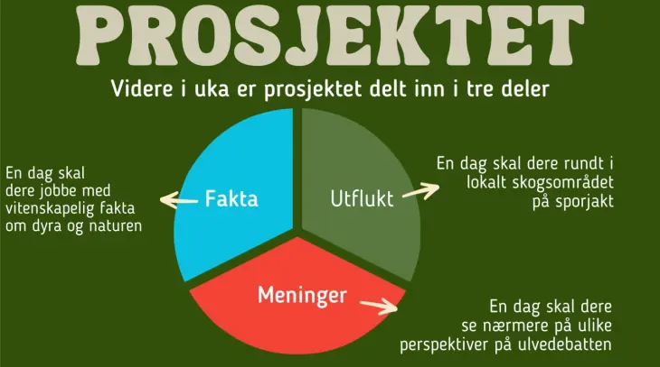 Om prosjektet